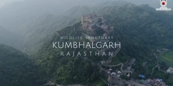 A notification has been issued declaring the Kumbhalgarh Wildlife Sanctuary as an ecologically sensitive area.