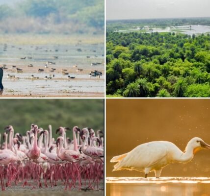 PM Modi welcomed the new Ramsar sites at Patna Bird Sanctuary and Chhari-Dhand.
