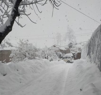 Snowfall in Gulmarg