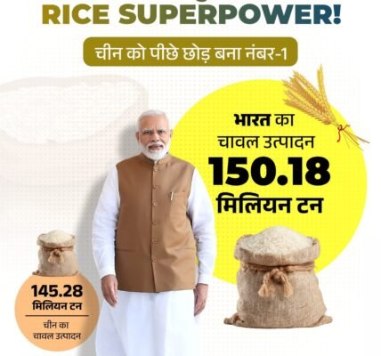 world largest rice producer