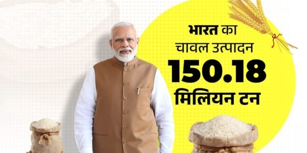 world largest rice producer