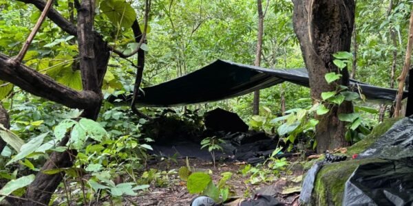 In Chhattisgarh, one Maoist was killed in an encounter with security forces, and twelve Maoists, including eight women cadres, surrendered.