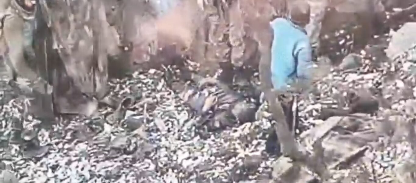 Two Pakistani terrorists, including a top commander of Jaish-e-Mohammed, have been killed in Jammu and Kashmir.