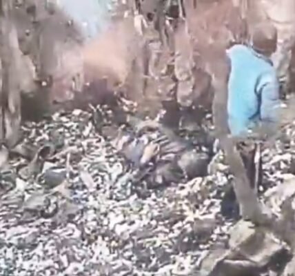 Two Pakistani terrorists, including a top commander of Jaish-e-Mohammed, have been killed in Jammu and Kashmir.