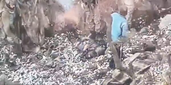 Two Pakistani terrorists, including a top commander of Jaish-e-Mohammed, have been killed in Jammu and Kashmir.