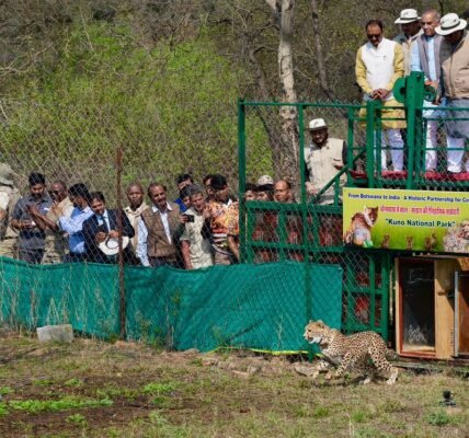Union Environment Minister Bhupender Yadav welcomed nine cheetahs from Botswana at Kuno National Park.