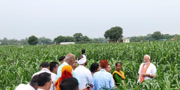 agricultural crops