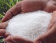 fertilizer supplies in India