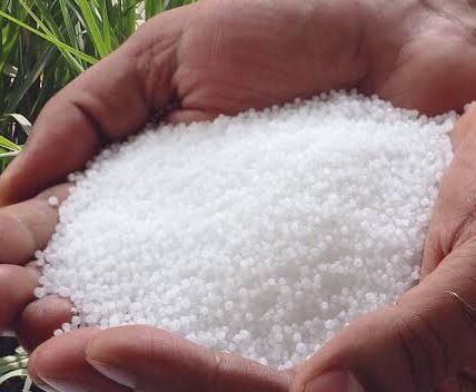 fertilizer supplies in India