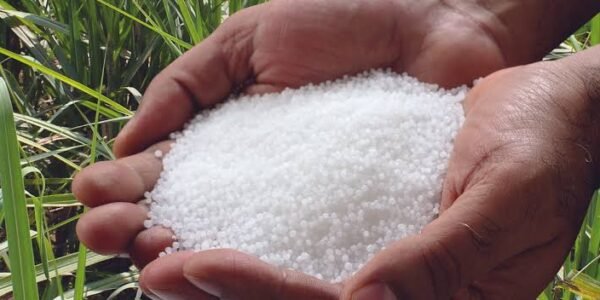 fertilizer supplies in India