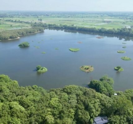 MoEFCC and the NBA have launched a five-year project to strengthen biodiversity governance at the grassroots level in Tamil Nadu and Meghalaya