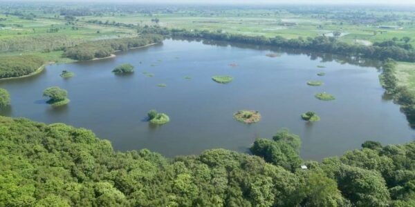 MoEFCC and the NBA have launched a five-year project to strengthen biodiversity governance at the grassroots level in Tamil Nadu and Meghalaya