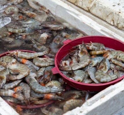 Seafood Exports