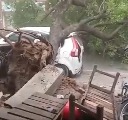 60 people killed in Uttar Pradesh in the last 24 hours due to rain, storms, and lightning strikes.