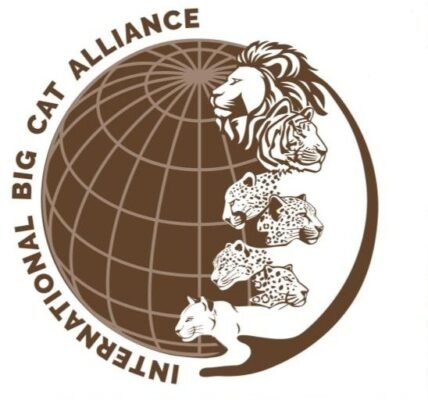 Big Cat Alliance Summit