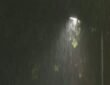 Heavy rain, thunderstorms
