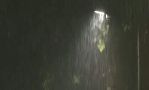 Heavy rain, thunderstorms