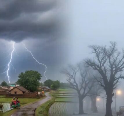 IMD forecast torrential rain in several parts of the country today.