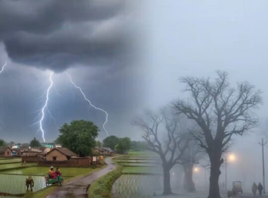 IMD forecast torrential rain in several parts of the country today.