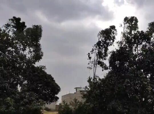 Seven people killed in separate incidents involving storms, rain, and lightning strikes in Bihar.