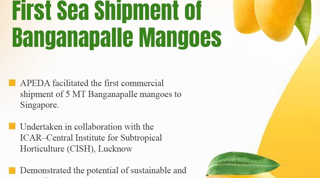Banganapalli mangoes to Singapore