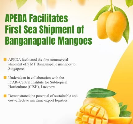 Banganapalli mangoes to Singapore