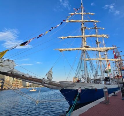 Indian Navy large vessel INS Sudarshini has arrived in Baltimore, USA.