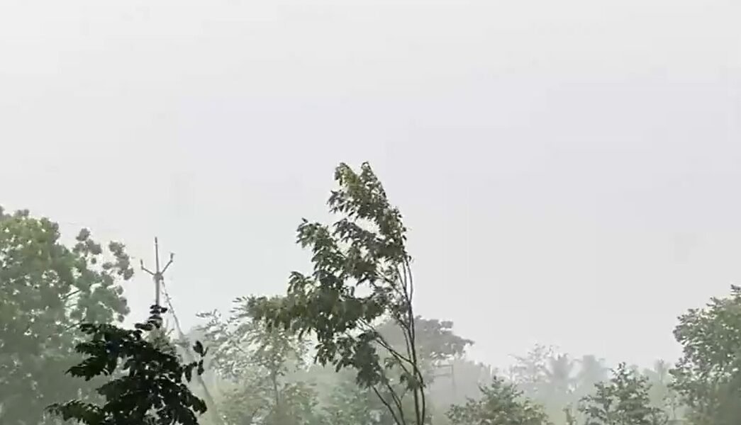 Monsoon Update IMD issues Red Alert for extremely heavy rainfall in Kerala and Mahe.