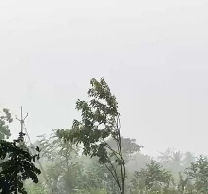 Monsoon Update IMD issues Red Alert for extremely heavy rainfall in Kerala and Mahe.