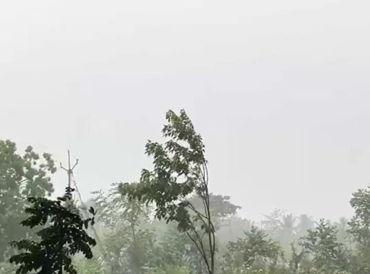 Monsoon Update IMD issues Red Alert for extremely heavy rainfall in Kerala and Mahe.