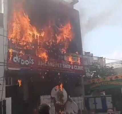 PM Modi expressed deep grief over the loss of life and property in the massive fire incident in Lucknow.