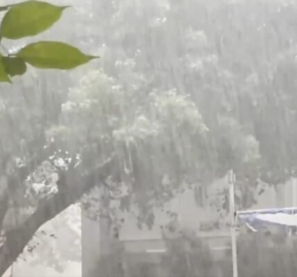 Rain