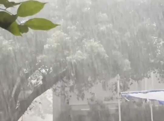 Rain