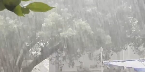 Rain