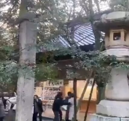 7.1 magnitude earthquake hits southern Japan