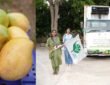 APEDA facilitated the first-ever air shipment of Neelam and Totapuri mangoes from Karnataka to the Maldives.