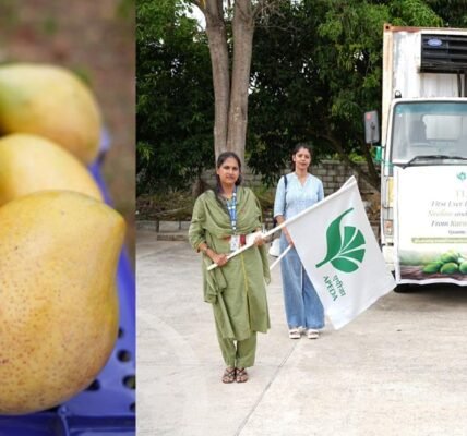 APEDA facilitated the first-ever air shipment of Neelam and Totapuri mangoes from Karnataka to the Maldives.