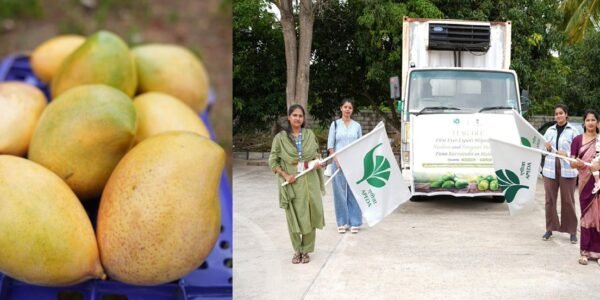 APEDA facilitated the first-ever air shipment of Neelam and Totapuri mangoes from Karnataka to the Maldives.