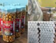 APEDA flagged off the first sea shipment of value-added flavored Makhana (fox nuts) from Darbhanga, Bihar, to Canada.