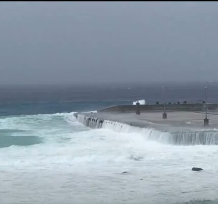 Flights cancelled and schools closed in Japan and Taiwan due to Typhoon Bavi.