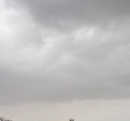IMD issued a Red Alert for extremely heavy rainfall in 13 districts of central and south Gujarat today.