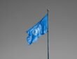 Palestine membership in the United Nations