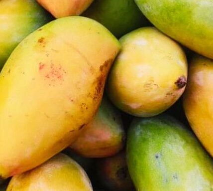 copra and Totapuri mangoes