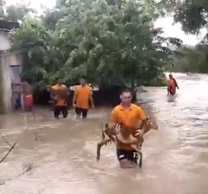 flood situation in Odisha remains critical