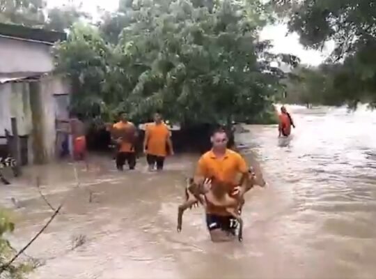 flood situation in Odisha remains critical