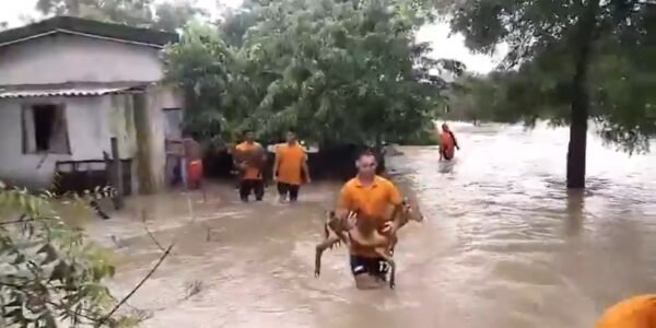 flood situation in Odisha remains critical
