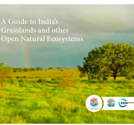 At UNCCD COP-17, India launched a first-of-its-kind guide on grasslands and other open natural ecosystems.