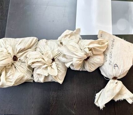 Central Bureau of Narcotics busted an interstate heroin syndicate in Operation Black Hawk