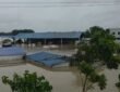 Flood in Odisha affects life in northern region of the state, Meteorological Department predicts torrential rains to continue