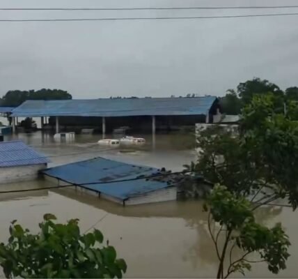 Flood in Odisha affects life in northern region of the state, Meteorological Department predicts torrential rains to continue